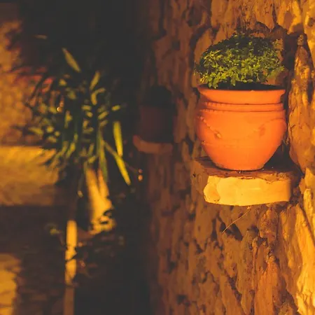 Althea Studios Lefkada Áyios Nikítas Zimmer foto