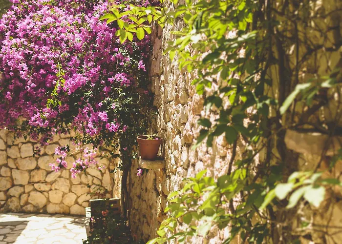 Althea Studios Lefkada