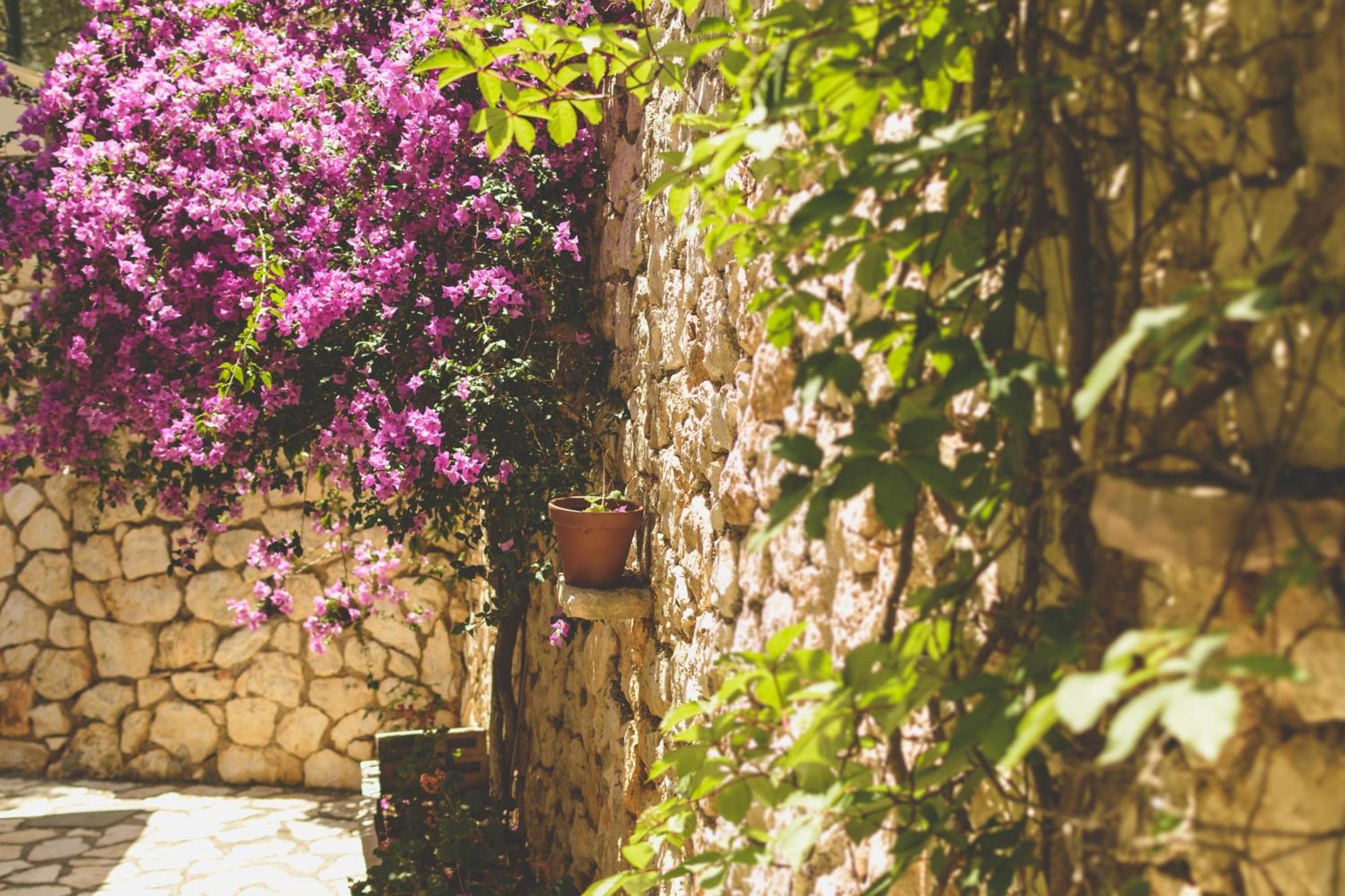 Althea Lefkada
