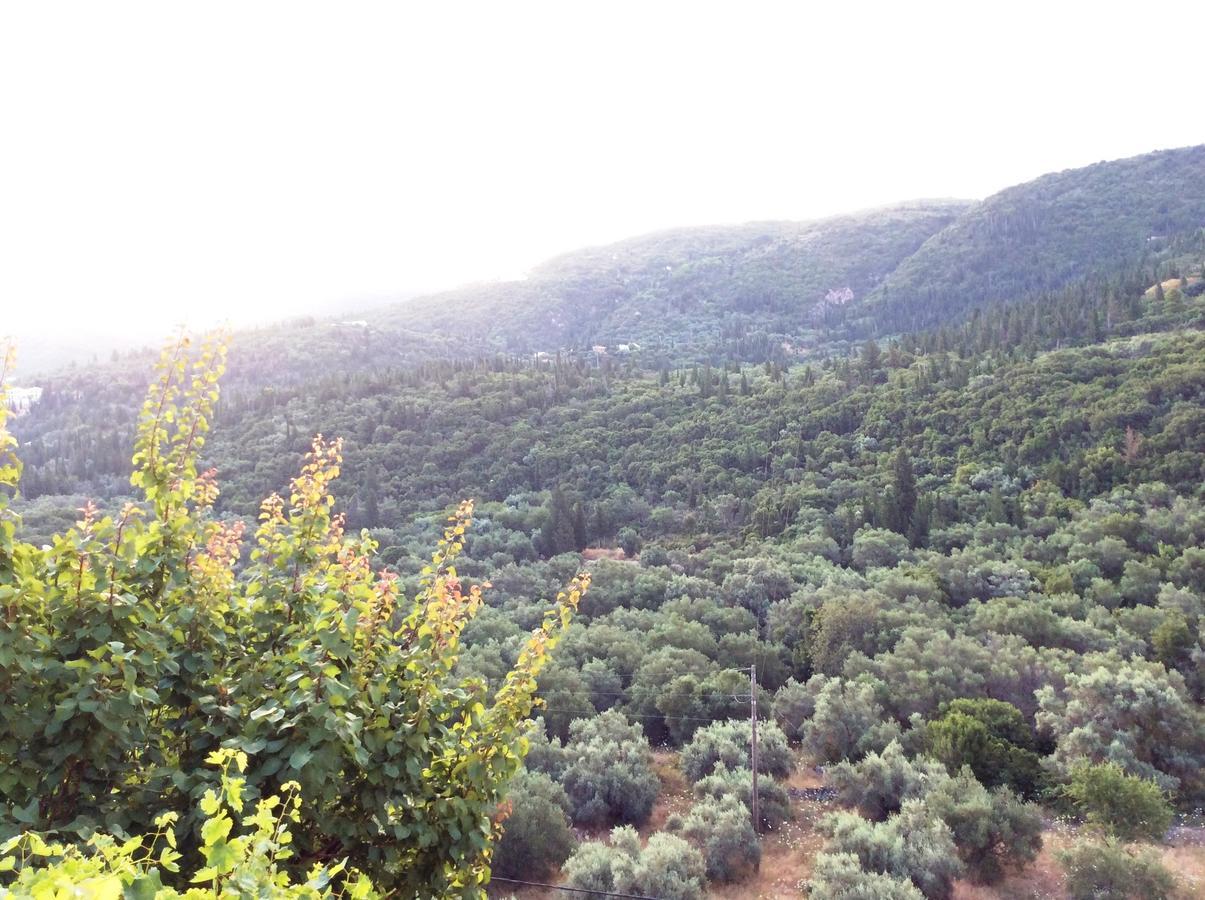 Apartment Althea Lefkada *